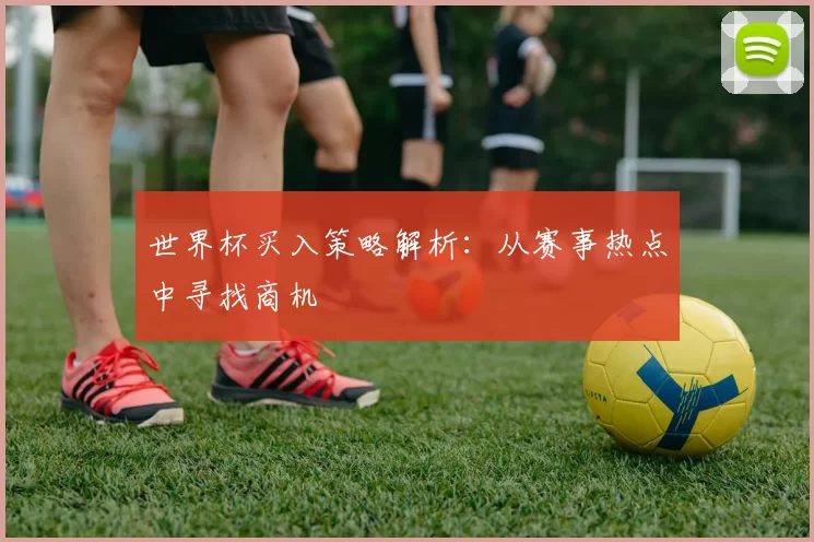 世界杯买入策略解析：从赛事热点中寻找商机
