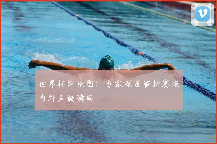 世界杯评论图：专家深度解析赛场内外关键瞬间