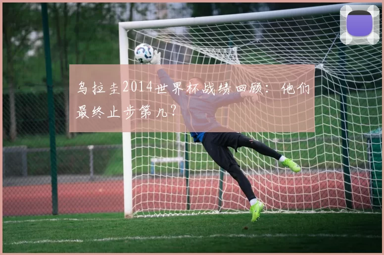 乌拉圭2014世界杯战绩回顾：他们最终止步第几？