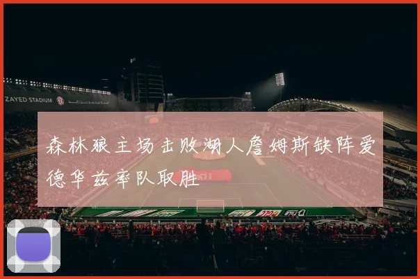 森林狼主场击败湖人詹姆斯缺阵爱德华兹率队取胜