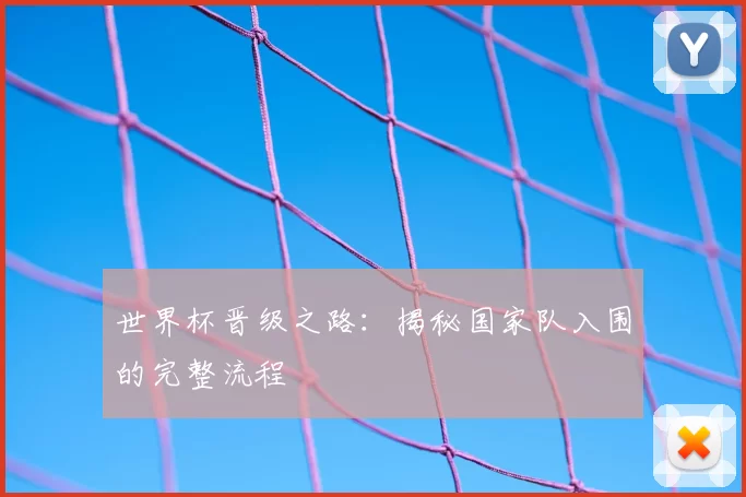 世界杯晋级之路：揭秘国家队入围的完整流程