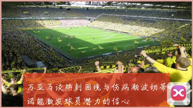 万亚马谈热刺困境与伤病潮波切蒂诺能激发球员潜力的信心