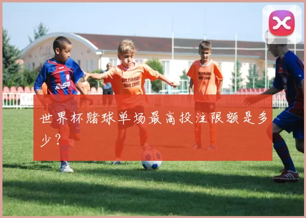 世界杯赌球单场最高投注限额是多少？