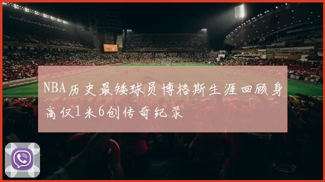 NBA历史最矮球员博格斯生涯回顾身高仅1米6创传奇纪录