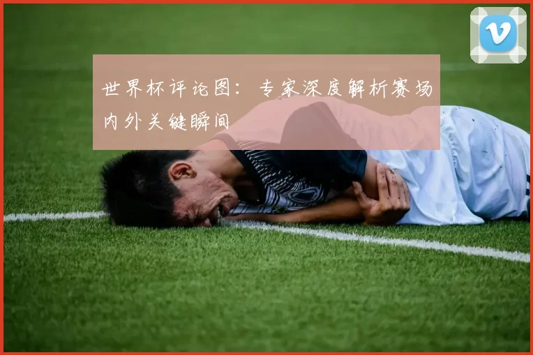 世界杯评论图:专家深度解析赛场内外关键瞬间