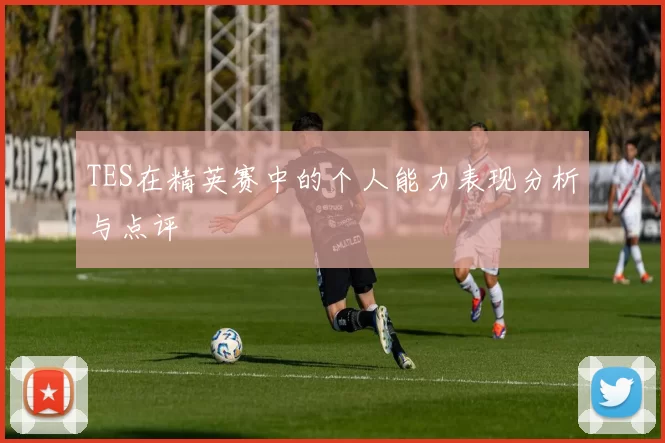 TES在精英赛中的个人能力表现分析与点评