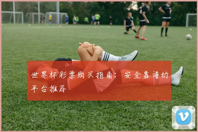 世界杯彩票购买指南:安全靠谱的平台推荐