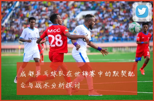 成都乒乓球队在世锦赛中的默契配合与战术分析探讨