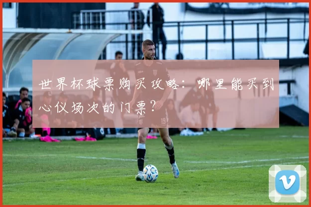 世界杯球票购买攻略:哪里能买到心仪场次的门票?