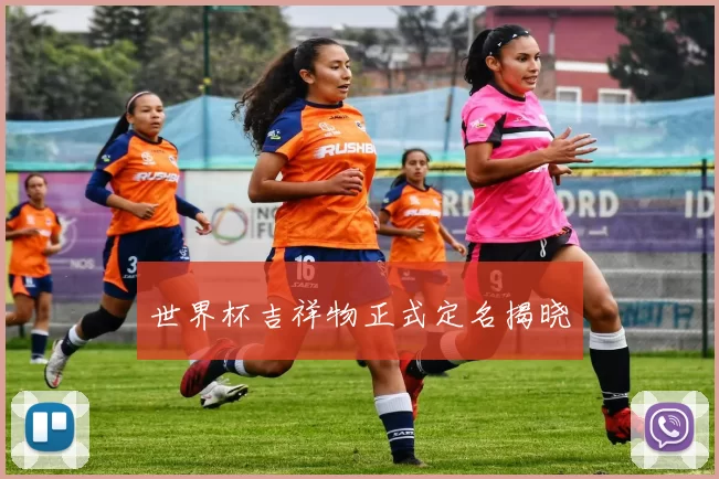 世界杯吉祥物正式定名揭晓
