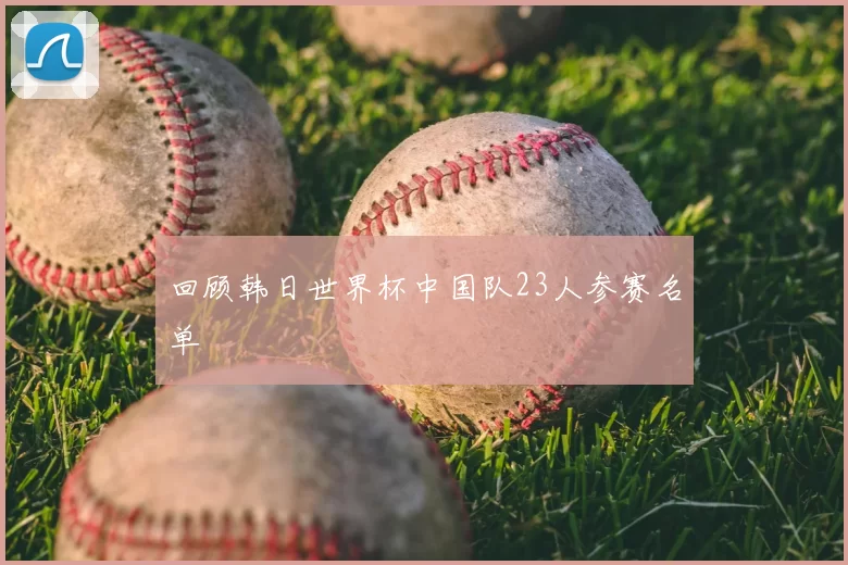 回顾韩日世界杯中国队23人参赛名单