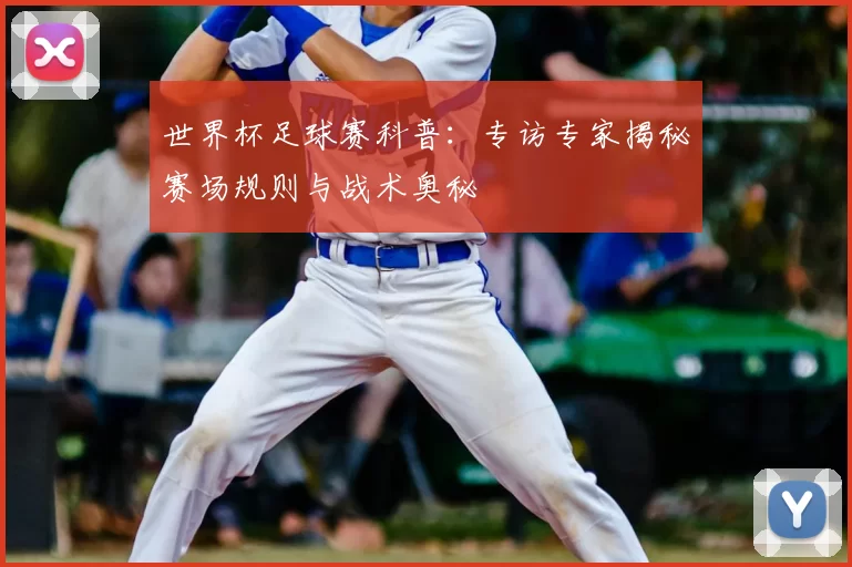 世界杯足球赛科普:专访专家揭秘赛场规则与战术奥秘